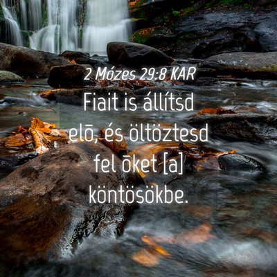 Picture 04 - 2 Mózes 29:8 KAR - Fiait is állítsd elõ, és öltöztesd fel - Bible Verse Picture