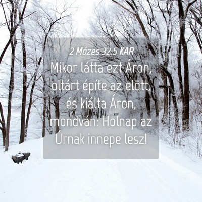 Picture 04 - 2 Mózes 32:5 KAR - Mikor látta ezt Áron, oltárt építe az - Bible Verse Picture