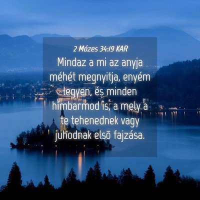 Picture 04 - 2 Mózes 34:19 KAR - Mindaz a mi az anyja méhét megnyitja, enyém - Bible Verse Picture