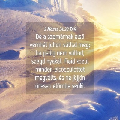 Picture 04 - 2 Mózes 34:20 KAR - De a szamárnak elsõ vemhét juhon váltsd meg; - Bible Verse Picture