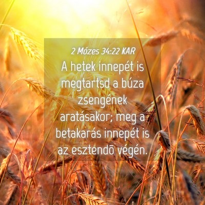 Picture 04 - 2 Mózes 34:22 KAR - A hetek innepét is megtartsd a búza zsengének - Bible Verse Picture