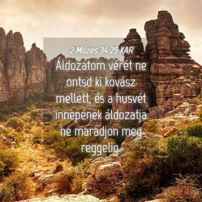 Picture 04 - 2 Mózes 34:25 KAR - Áldozatom vérét ne ontsd ki kovász mellett, - Bible Verse Picture