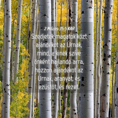 Picture 04 - 2 Mózes 35:5 KAR - Szedjetek magatok közt ajándékot az Úrnak, - Bible Verse Picture