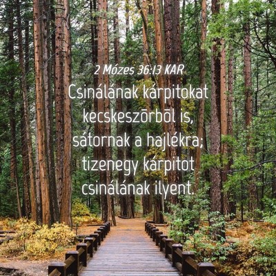 Picture 04 - 2 Mózes 36:13 KAR - Csinálának kárpitokat kecskeszõrbõl is, - Bible Verse Picture