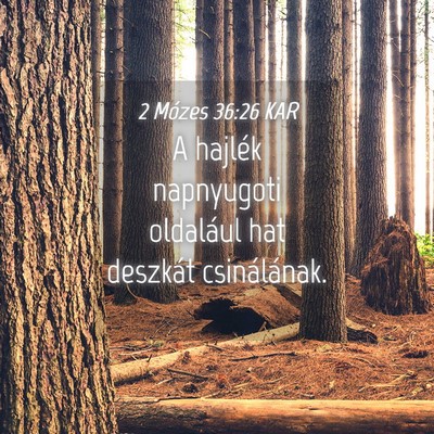 Picture 04 - 2 Mózes 36:26 KAR - A hajlék napnyugoti oldalául hat deszkát - Bible Verse Picture