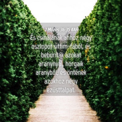 Picture 04 - 2 Mózes 36:35 KAR - És csinálának ahhoz négy oszlopot - Bible Verse Picture
