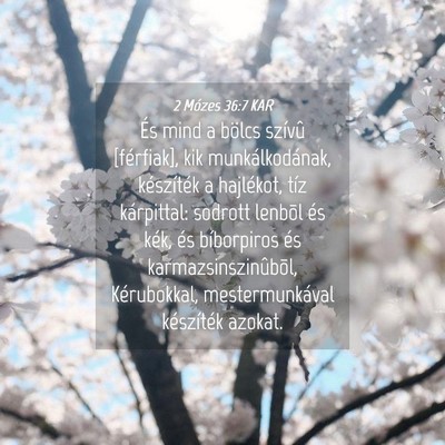 Picture 04 - 2 Mózes 36:7 KAR - És mind a bölcs szívû [férfiak], kik - Bible Verse Picture
