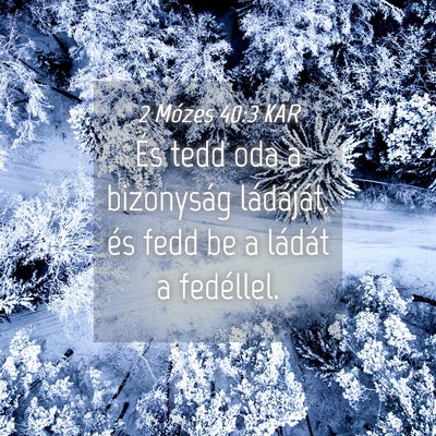 Picture 04 - 2 Mózes 40:3 KAR - És tedd oda a bizonyság ládáját, és fedd be - Bible Verse Picture