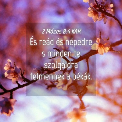 Picture 04 - 2 Mózes 8:4 KAR - És reád és népedre s minden te szolgáidra - Bible Verse Picture