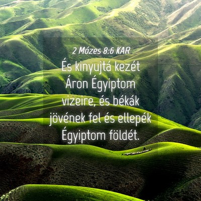 Picture 04 - 2 Mózes 8:6 KAR - És kinyujtá kezét Áron Égyiptom vizeire, és - Bible Verse Picture
