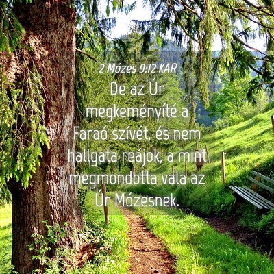 Picture 04 - 2 Mózes 9:12 KAR - De az Úr megkeményíté a Faraó szívét, és - Bible Verse Picture