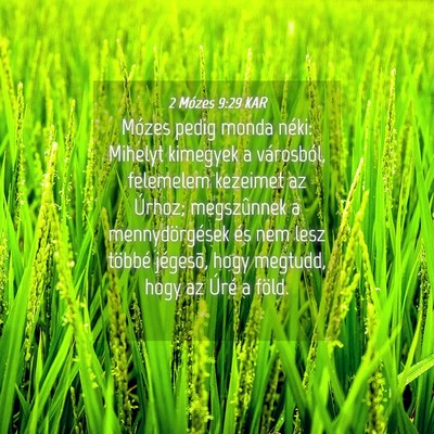 Picture 04 - 2 Mózes 9:29 KAR - Mózes pedig monda néki: Mihelyt kimegyek a - Bible Verse Picture