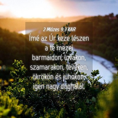 Picture 04 - 2 Mózes 9:3 KAR - Ímé az Úr keze lészen a te mezei barmaidon, - Bible Verse Picture