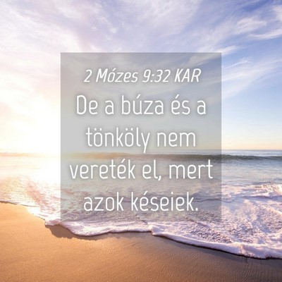 Picture 04 - 2 Mózes 9:32 KAR - De a búza és a tönköly nem vereték el, mert - Bible Verse Picture