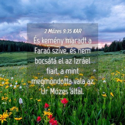 Picture 04 - 2 Mózes 9:35 KAR - És kemény maradt a Faraó szíve, és nem - Bible Verse Picture
