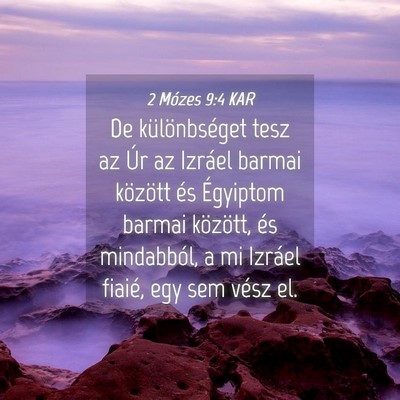 Picture 04 - 2 Mózes 9:4 KAR - De különbséget tesz az Úr az Izráel barmai - Bible Verse Picture