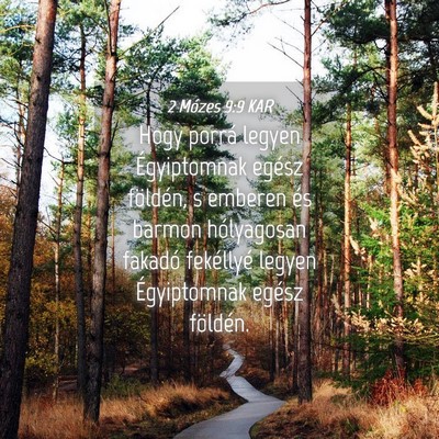 Picture 04 - 2 Mózes 9:9 KAR - Hogy porrá legyen Égyiptomnak egész földén, - Bible Verse Picture