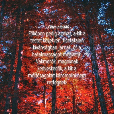 Picture 04 - 2 Péter 2:10 KAR - Fõképen pedig azokat, a kik a testet - Bible Verse Picture