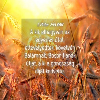 Picture 04 - 2 Péter 2:15 KAR - A kik elhagyván az egyenes útat, - Bible Verse Picture