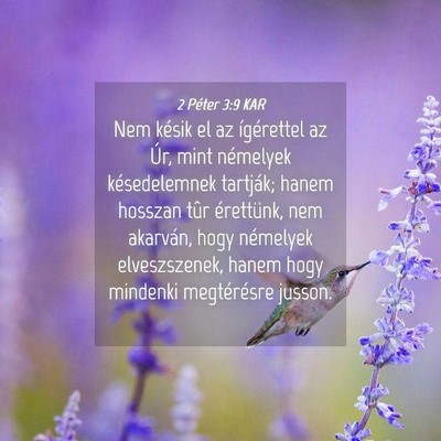 Picture 04 - 2 Péter 3:9 KAR - Nem késik el az ígérettel az Úr, mint - Bible Verse Picture