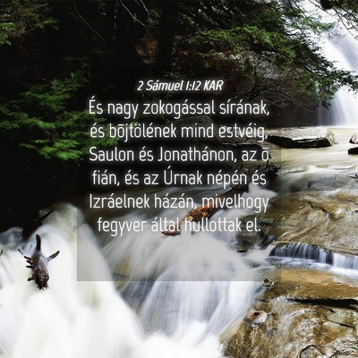 Picture 04 - 2 Sámuel 1:12 KAR - És nagy zokogással sírának, és bõjtölének - Bible Verse Picture