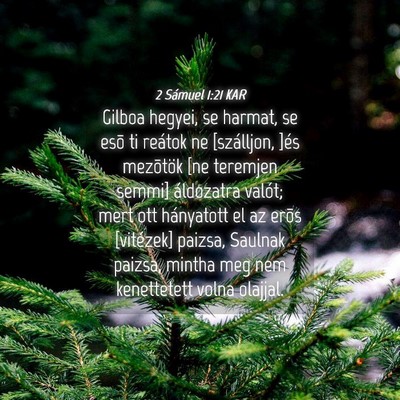 Picture 04 - 2 Sámuel 1:21 KAR - Gilboa hegyei, se harmat, se esõ ti reátok ne - Bible Verse Picture