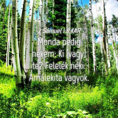Picture 04 - 2 Sámuel 1:8 KAR - Monda pedig nékem: Ki [vagy] te? Felelék néki: - Bible Verse Picture