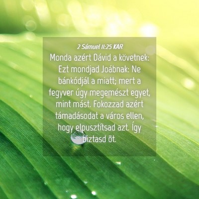 Picture 04 - 2 Sámuel 11:25 KAR - Monda azért Dávid a követnek: Ezt mondjad - Bible Verse Picture