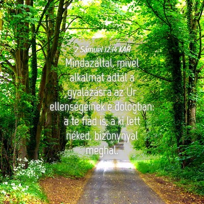 Picture 04 - 2 Sámuel 12:14 KAR - Mindazáltal, mivel alkalmat adtál a - Bible Verse Picture