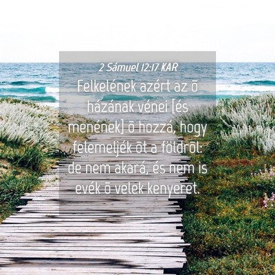 Picture 04 - 2 Sámuel 12:17 KAR - Felkelének azért az õ házának vénei [és - Bible Verse Picture