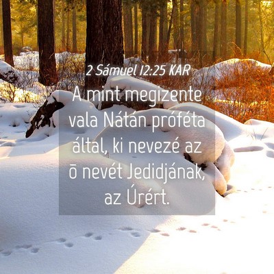 Picture 04 - 2 Sámuel 12:25 KAR - A mint megizente vala Nátán próféta által, - Bible Verse Picture