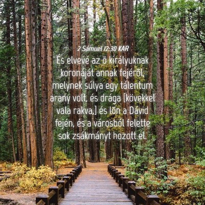 Picture 04 - 2 Sámuel 12:30 KAR - És elvevé az õ királyuknak koronáját annak - Bible Verse Picture