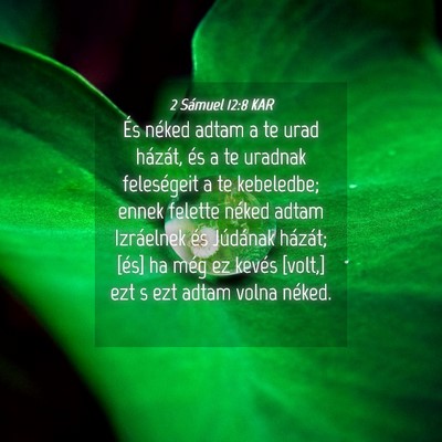 Picture 04 - 2 Sámuel 12:8 KAR - És néked adtam a te urad házát, és a te - Bible Verse Picture