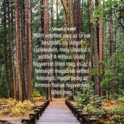 Picture 04 - 2 Sámuel 12:9 KAR - Miért vetetted meg az Úrnak beszédét, oly - Bible Verse Picture