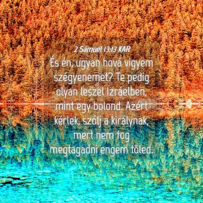 Picture 04 - 2 Sámuel 13:13 KAR - És én, ugyan hová vigyem szégyenemet? Te - Bible Verse Picture