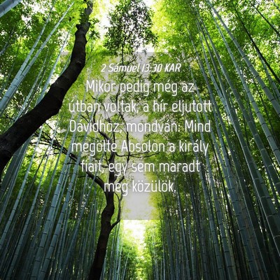 Picture 04 - 2 Sámuel 13:30 KAR - Mikor pedig még az útban voltak, a hír - Bible Verse Picture