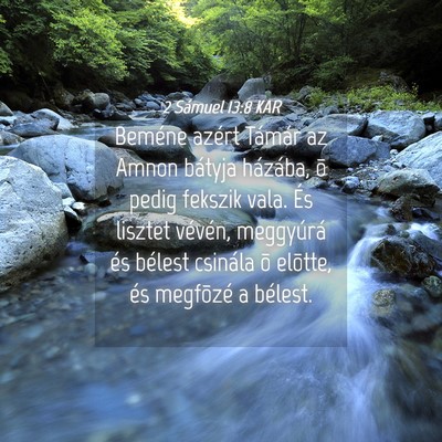 Picture 04 - 2 Sámuel 13:8 KAR - Beméne azért Támár az Amnon bátyja házába, - Bible Verse Picture