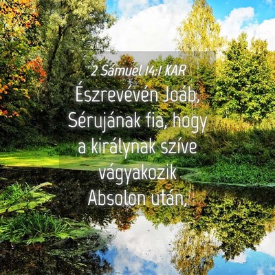 Picture 04 - 2 Sámuel 14:1 KAR - Észrevévén Joáb, Sérujának fia, hogy a - Bible Verse Picture