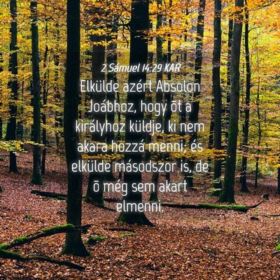 Picture 04 - 2 Sámuel 14:29 KAR - Elkülde azért Absolon Joábhoz, hogy õt a - Bible Verse Picture