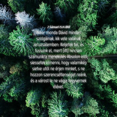 Picture 04 - 2 Sámuel 15:14 KAR - Akkor monda Dávid minden szolgáinak, kik vele - Bible Verse Picture