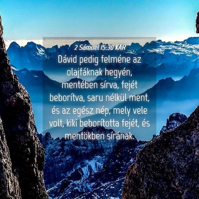 Picture 04 - 2 Sámuel 15:30 KAR - Dávid pedig felméne az olajfáknak hegyén, - Bible Verse Picture