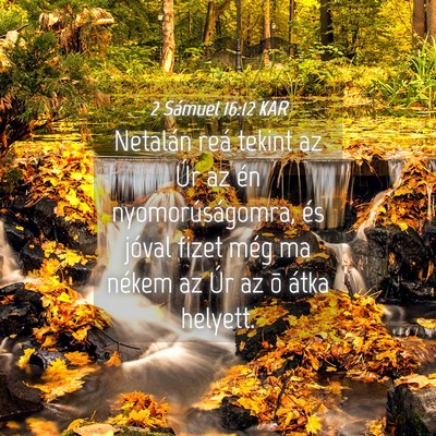 Picture 04 - 2 Sámuel 16:12 KAR - Netalán reá tekint az Úr az én - Bible Verse Picture