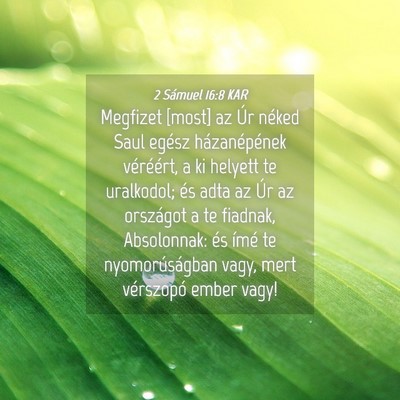 Picture 04 - 2 Sámuel 16:8 KAR - Megfizet [most] az Úr néked Saul egész - Bible Verse Picture