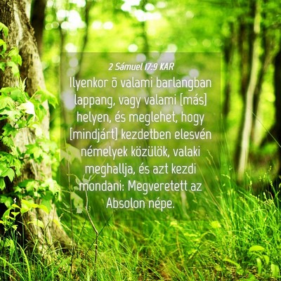 Picture 04 - 2 Sámuel 17:9 KAR - Ilyenkor õ valami barlangban lappang, vagy - Bible Verse Picture