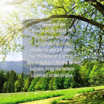 Picture 04 - 2 Sámuel 19:22 KAR - Monda pedig Dávid: Mi közöm van veletek, - Bible Verse Picture