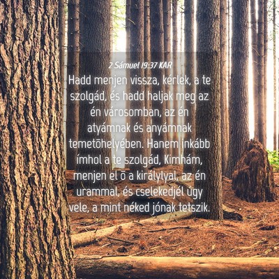 Picture 04 - 2 Sámuel 19:37 KAR - Hadd menjen vissza, kérlek, a te szolgád, és - Bible Verse Picture