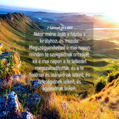 Picture 04 - 2 Sámuel 19:5 KAR - Akkor méne Joáb a házba a királyhoz, és - Bible Verse Picture