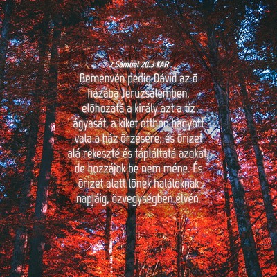 Picture 04 - 2 Sámuel 20:3 KAR - Bemenvén pedig Dávid az õ házába - Bible Verse Picture