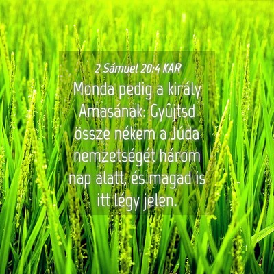 Picture 04 - 2 Sámuel 20:4 KAR - Monda pedig a király Amasának: Gyûjtsd össze - Bible Verse Picture