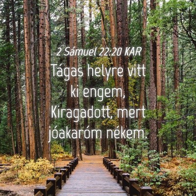 Picture 04 - 2 Sámuel 22:20 KAR - Tágas helyre vitt ki engem, Kiragadott, mert - Bible Verse Picture